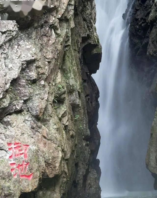 异形：隔离